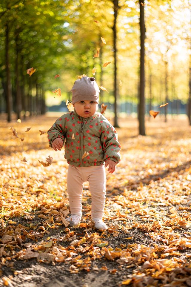 Kleinkind mit Mütze läuft durch buntes Herbstlaub in einer Allee